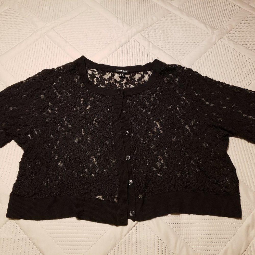 Sheer Lace Crop Top / Cover Up